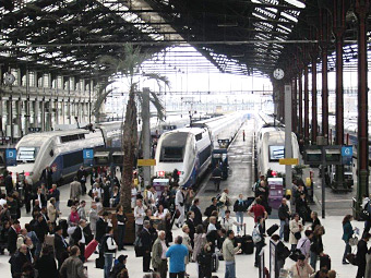 �������w