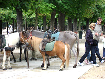 �����Ń��o�ɏ��