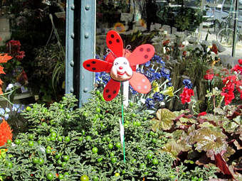 �ԉ���������R��