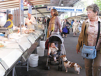 �p���̎s��A���Ǝq��