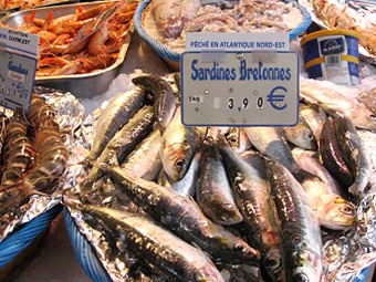 1. 1�L�������āA�ǂ������?