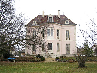 �u���S�[�j���̖��像�C�i���[