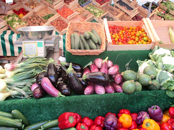 ���X�p�C����BIO�s��